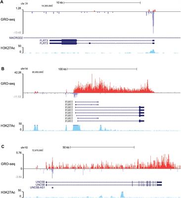 Axon Guidance-Related Factor FLRT3 Regulates VEGF-Signaling and Endothelial Cell Function